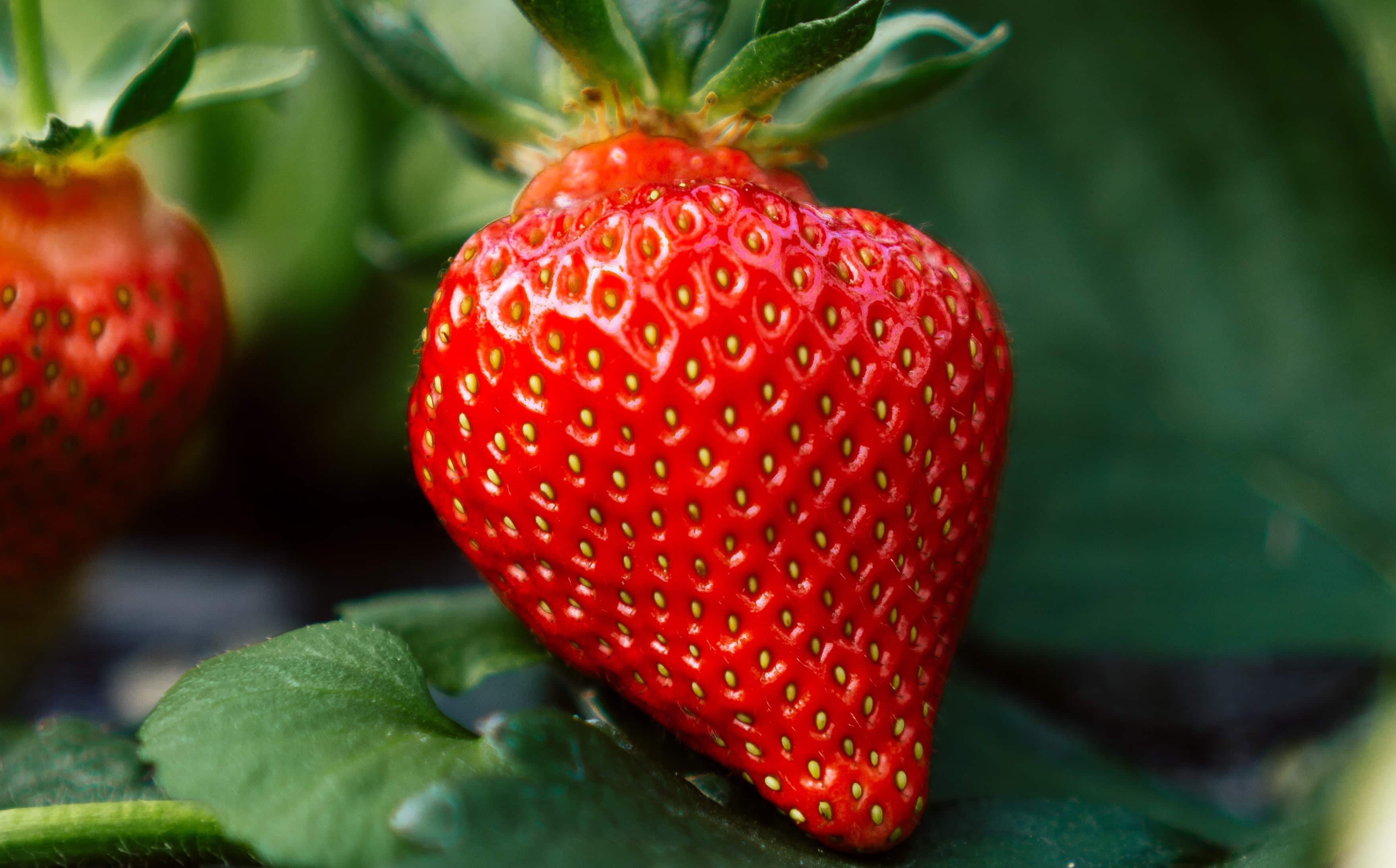 Photo of Strawberry