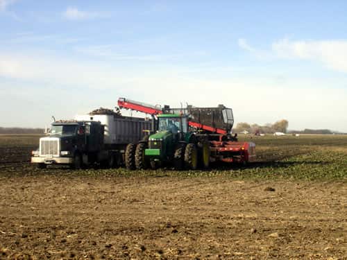 A grower unloads sugar beets from a harvester into a truck