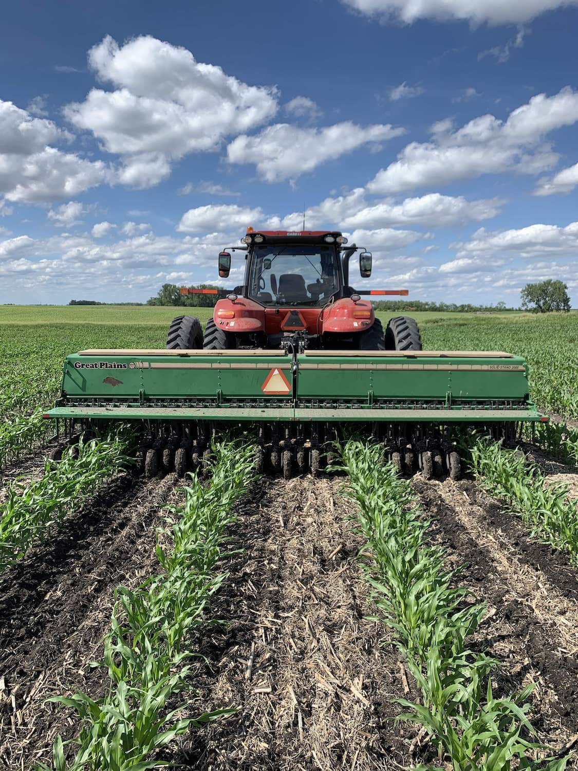 A seeder passing over rows presumably planting cover crop seeds