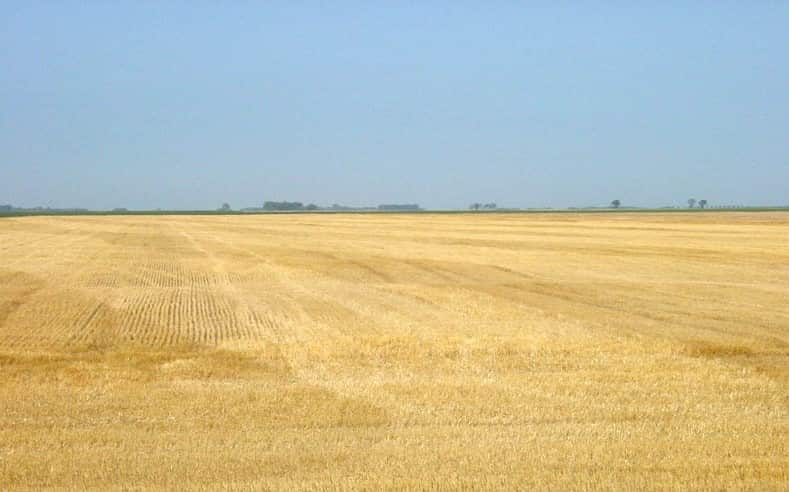 Photo of a wheat field after harvest