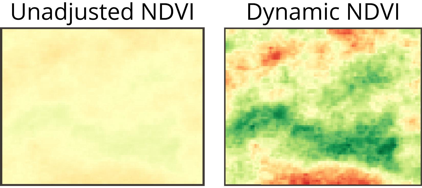 Screenshot of Dynamics NDVI