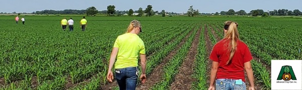 A photo of Advanced Crop Care scouts