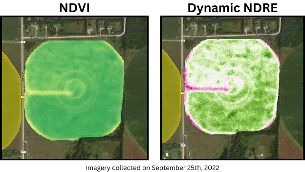 Visual comparison of NDRE vs NDVI in FarmQA