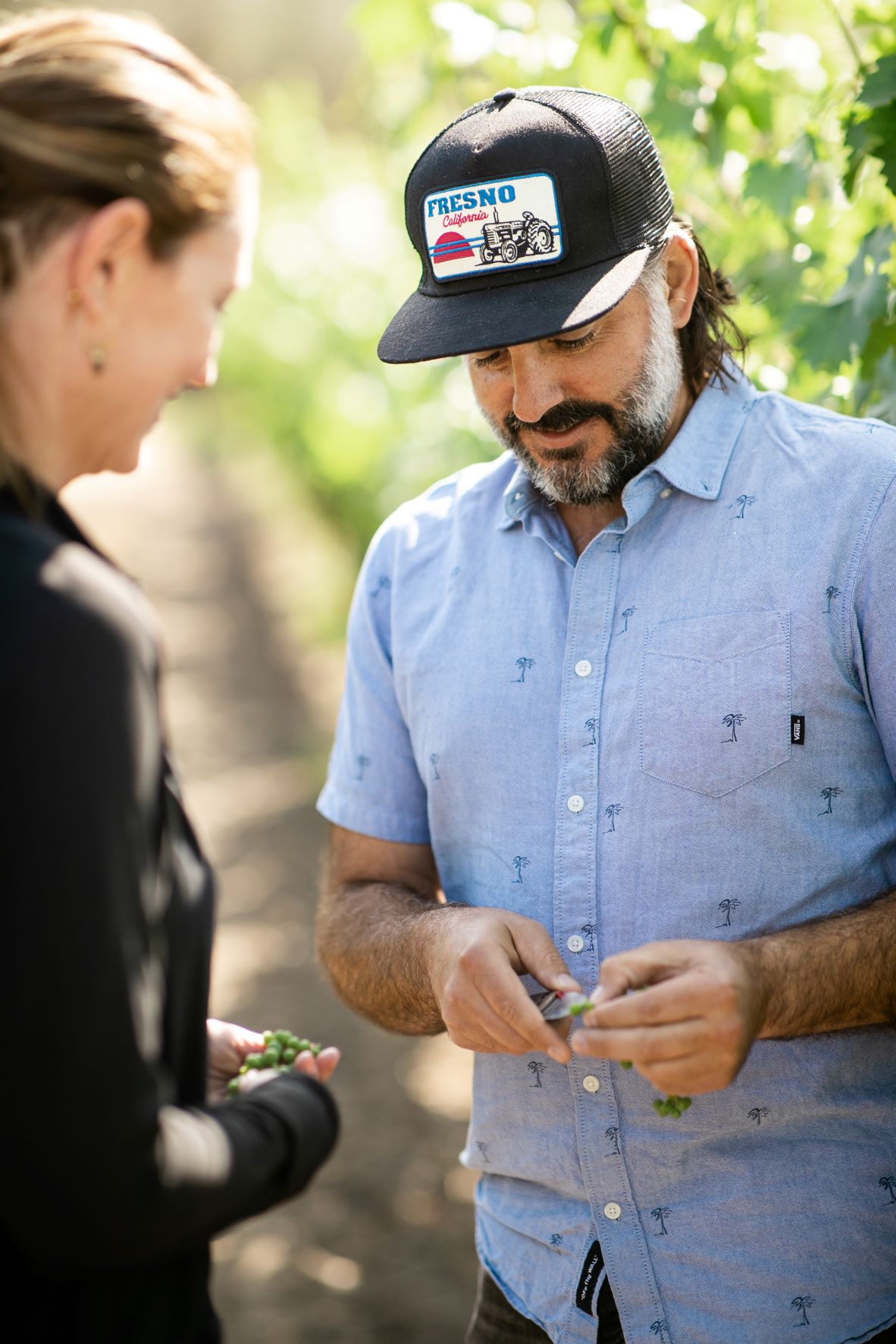 Viticulturalist Ryan Decker and winemaker Carmel Greenberg check fruit development at Clos du Val Winery