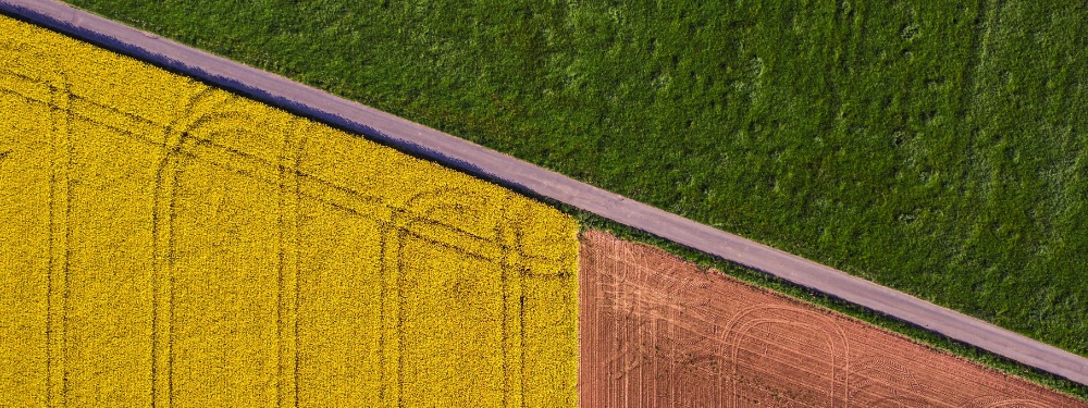 A birds-eye view of a couple crops and a road