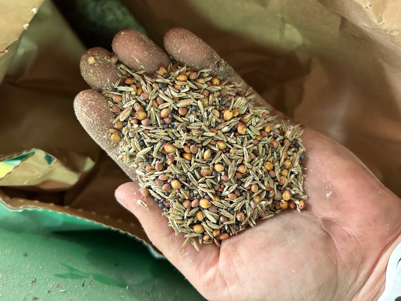 A variety of seeds in a hand