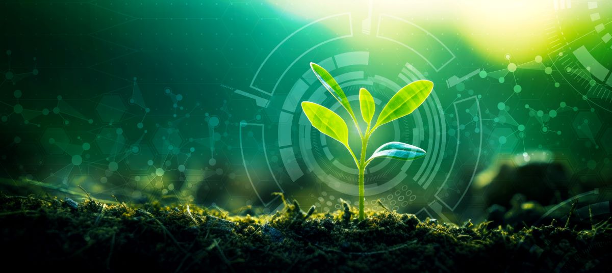 A young green plant sprouting from the soil, illuminated by bright sunlight. The background features digital graphics and hexagonal patterns symbolizing futuristic elements surrounding the plant.