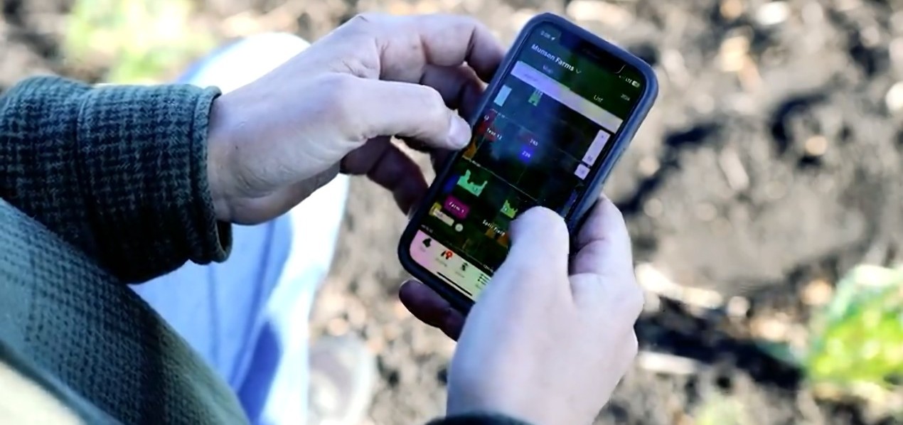 Person in field using the FarmQA mobile app on their smartphone to complete scouting tasks, representing real-time, in-field agronomic task management.