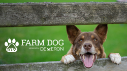 A dog with the words Farm Dog Powered By Dexeron