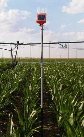AquaSpy moisture monitor in a field