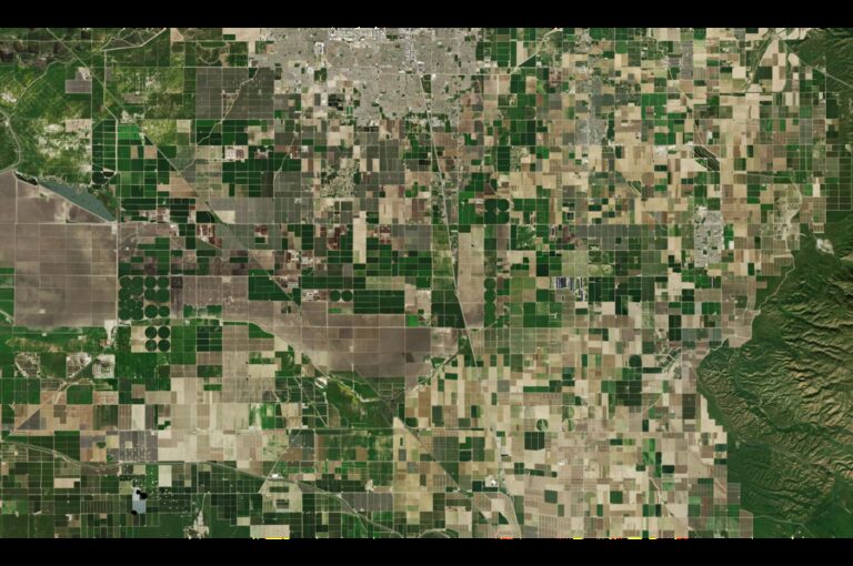 PlanetScope Mosaic of agricultural fields in Kern County, California, in February 2026. © 2026 Planet Labs PBC. Used with Permission. Planet.com