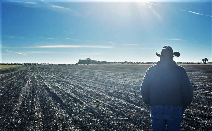 A photo of David Stelter looking at a field.