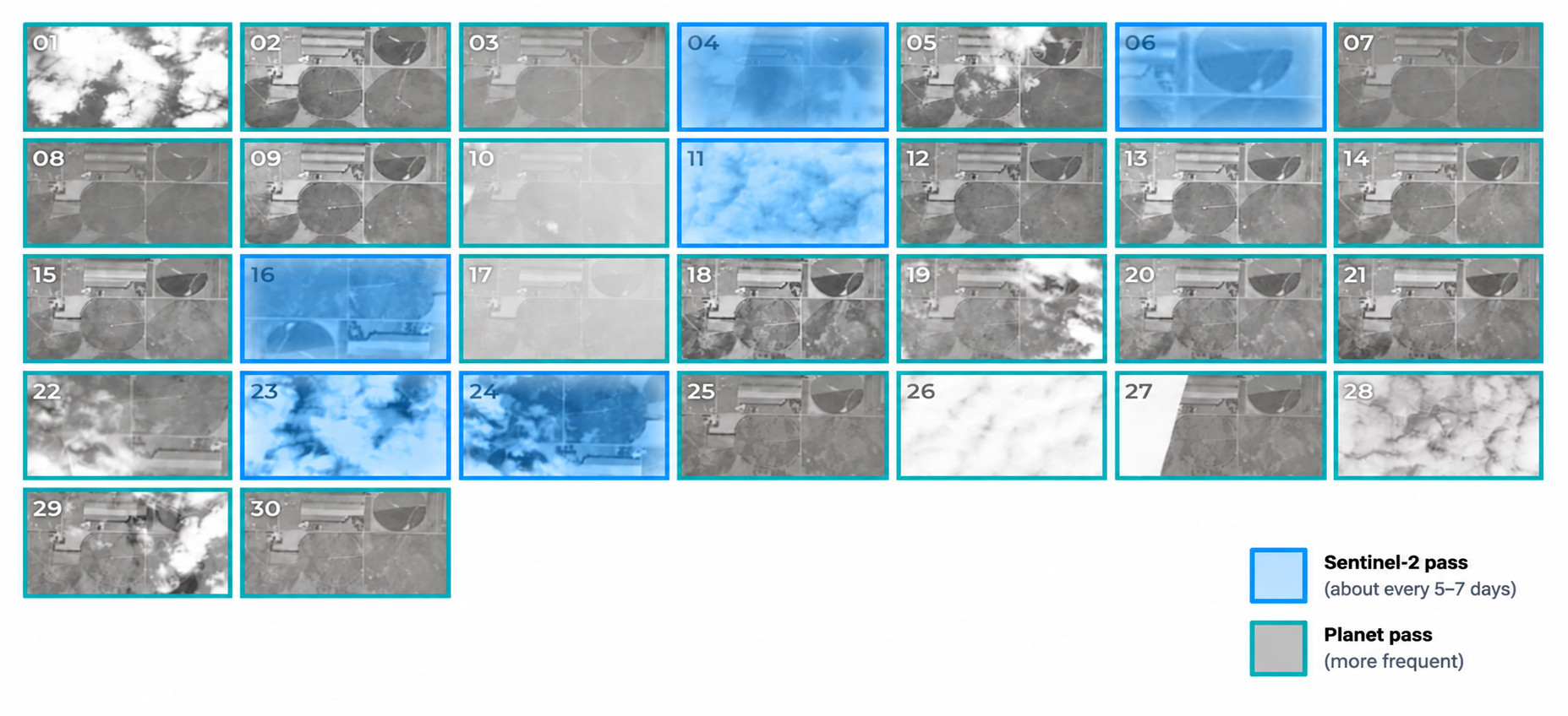Sentinel-2 satellite passes highlighted across a 30-day calendar, showing field imagery captured approximately every 5 to 7 days.