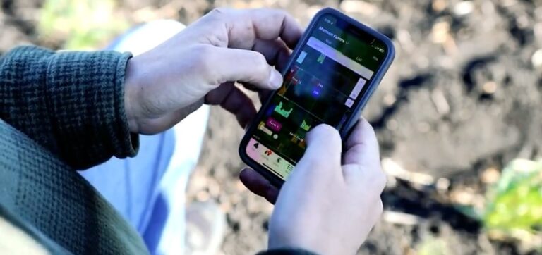 Person in field using the FarmQA mobile app on their smartphone to complete scouting tasks, representing real-time, in-field agronomic task management.