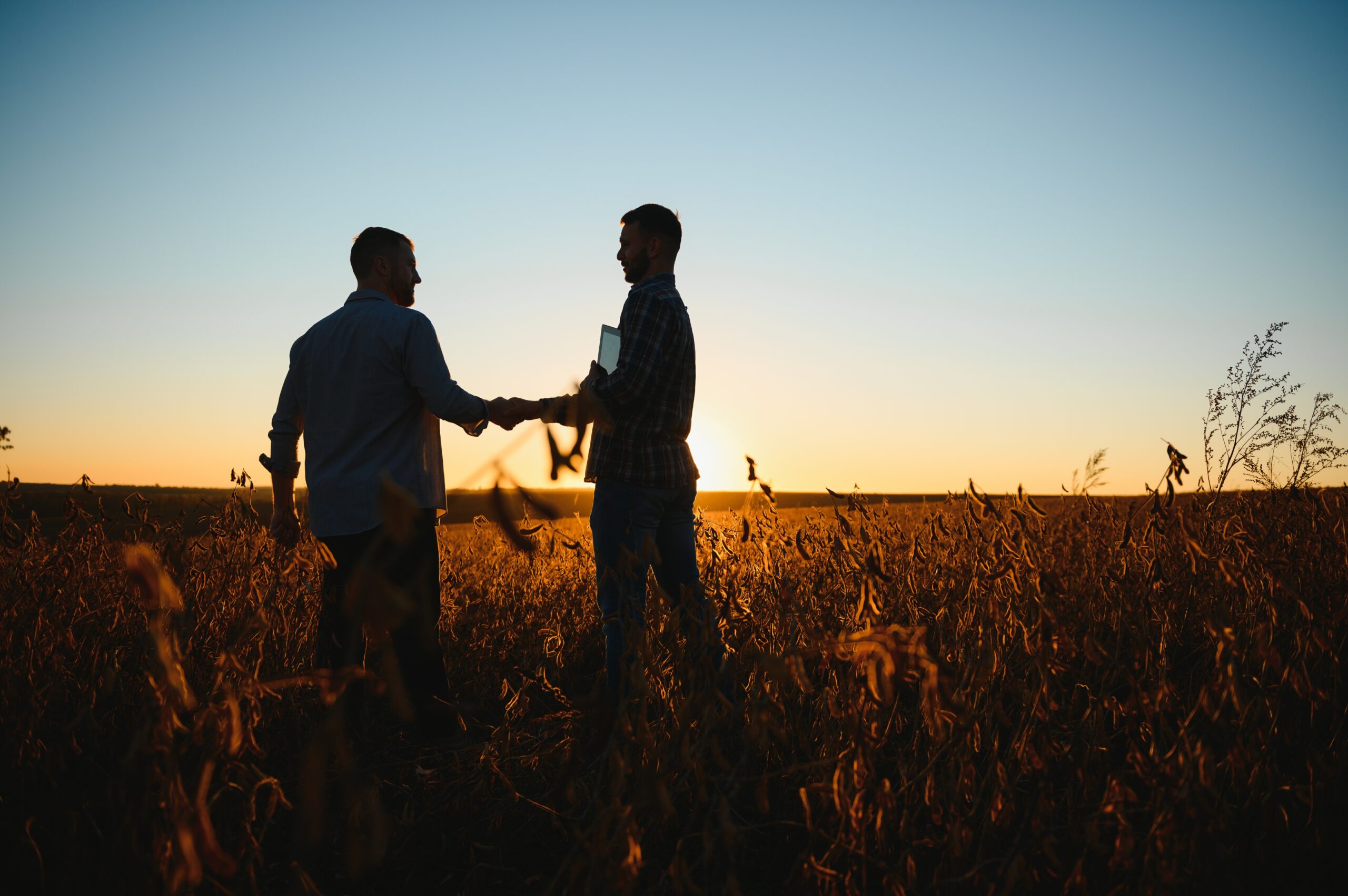 Two farmers shaking hands in a soybean field at sunset