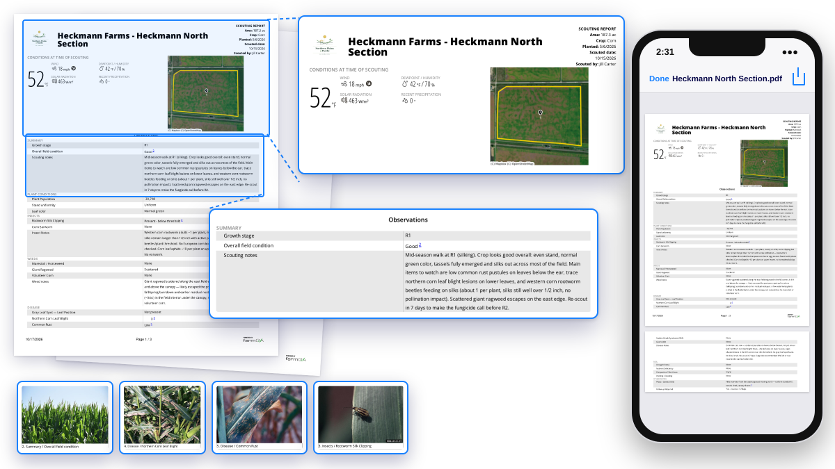 QA Advisor scouting reports shown as PDF and on a phone