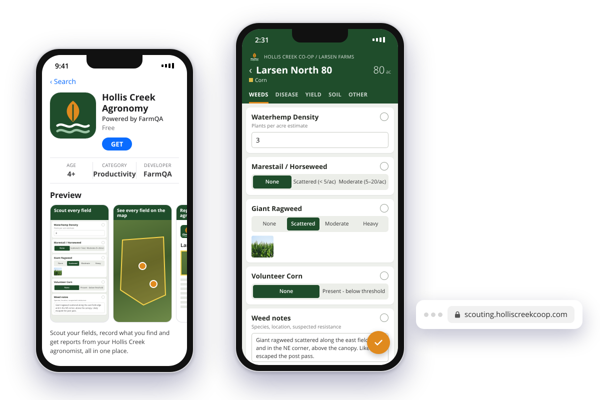 An app store listing for Hollis Creek Agronomy, powered by FarmQA, next to a phone showing the QA Advisor scouting form re-skinned in the co-op’s green and orange, with its logo in the header. A browser bar shows the custom URL scouting.holliscreekcoop.com.