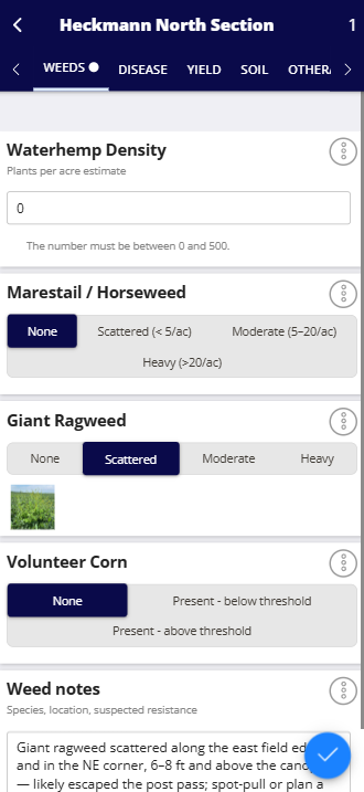 Weeds tab of a scouting form in QA Advisor in the FarmQA mobile app for the field Heckmann North Section. Waterhemp Density is set to 0 plants per acre, Marestail / Horseweed is None, Giant Ragweed is Scattered with a photo attached, and Volunteer Corn is None. The Weed notes field holds a written description of where the giant ragweed is and what to do about it