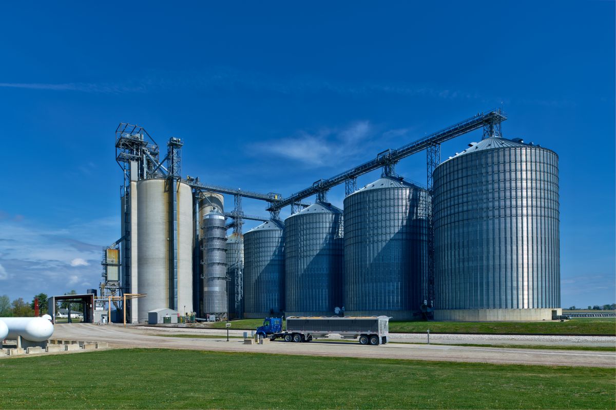 Grain elevator and agricultural cooperative with storage bins and grain truck