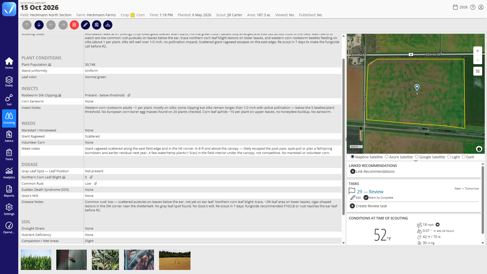 Scouting report in the QA Advisor web app for the field Heckmann North Section. It shows Plant Conditions, Insects, Weeds, Disease and Soil observations, with Giant Ragweed set to Scattered and Common Rust set to Low. Beside them are a field map with the scouting point, a Review task, conditions at the time of scouting (52°F) and a row of attached photos.